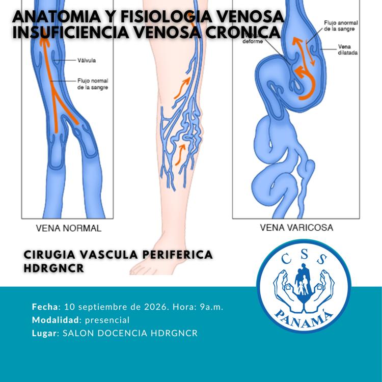 Anatomía y Fisiología Venosa    Insuficiencia Venosa Cronica 