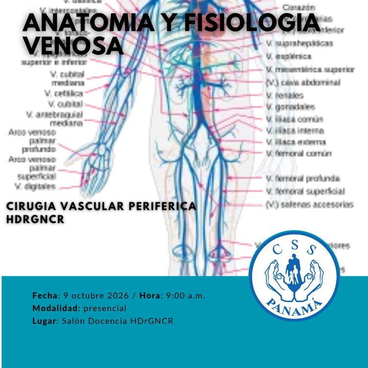 ANATOMIA Y FISIOLOGIA VENOSA DE LOS MIEMBROS INFERIORES