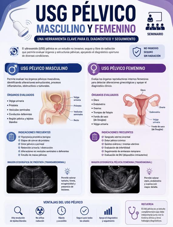 ULTRASONIDO PELVICO