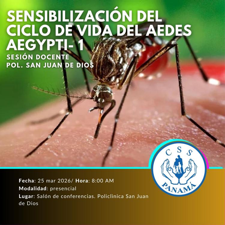 Sensibilización del ciclo de vida del aedes aegypti. Sesión 1