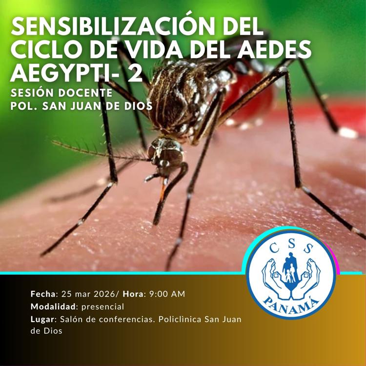 Sensibilización del ciclo de vida del aedes aegypti. Sesión 2
