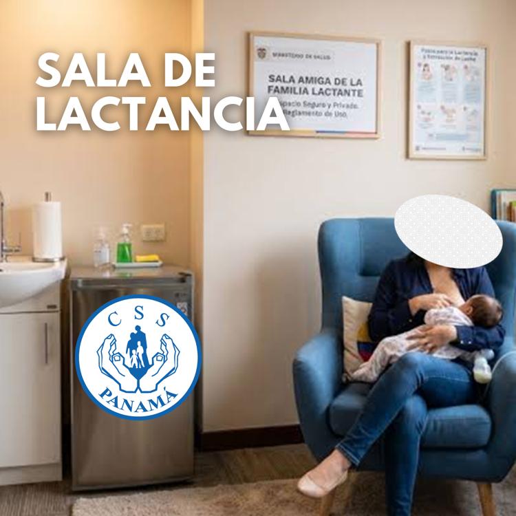 CAPACITACIÓN DE SALA DE LACTANCIA