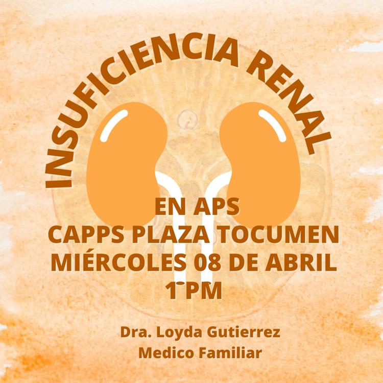 Enfermedad Renal crónica en APS 