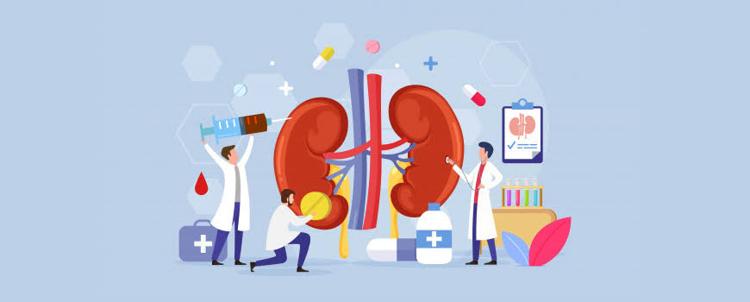 ENFERMEDAD RENAL CRÓNICA EN APS