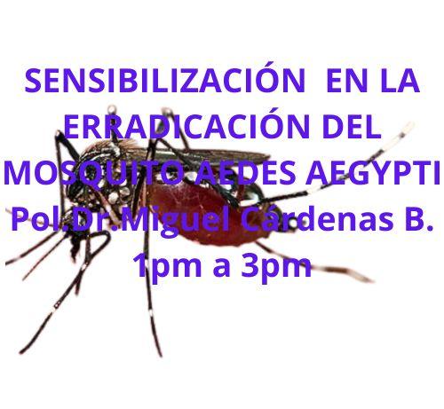 SENSIBILIZACIÓN  EN LA ERRADICACIÓN DEL MOSQUITO AEDES AEGYPTI
